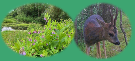 Dim. 3 mai 14h Balade guidée avec visite de la « Taisnière »