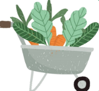 Dim. 3 mai 10h Bourse aux plantes